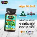 Auswelllife Algal Oil DHA ออสเวลไลฟ์ อัลกัล ออยล์ ดีเอชเอ
